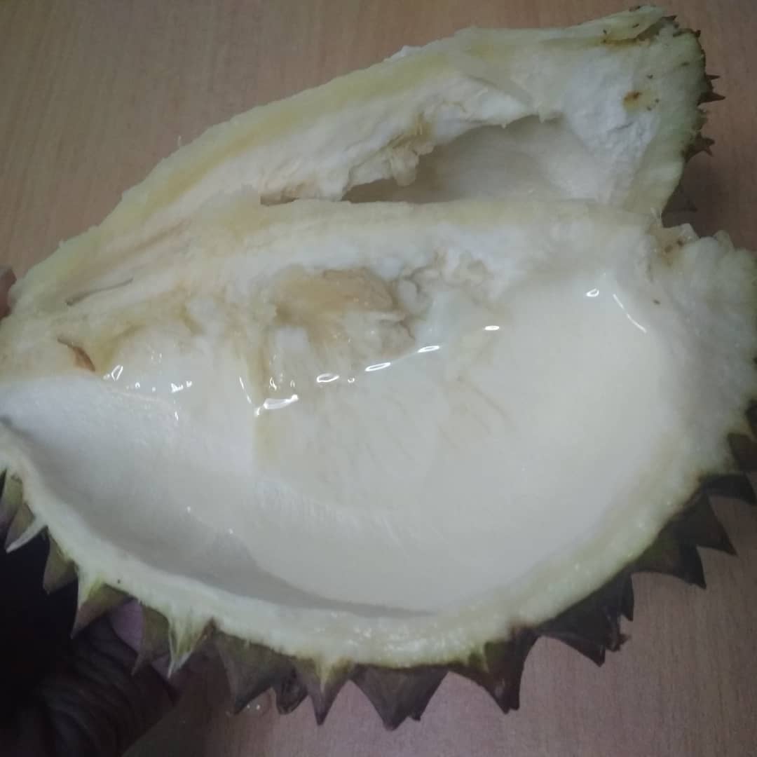 Durian husk containing water