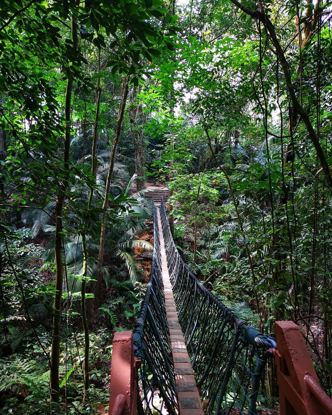hiking trails malaysia