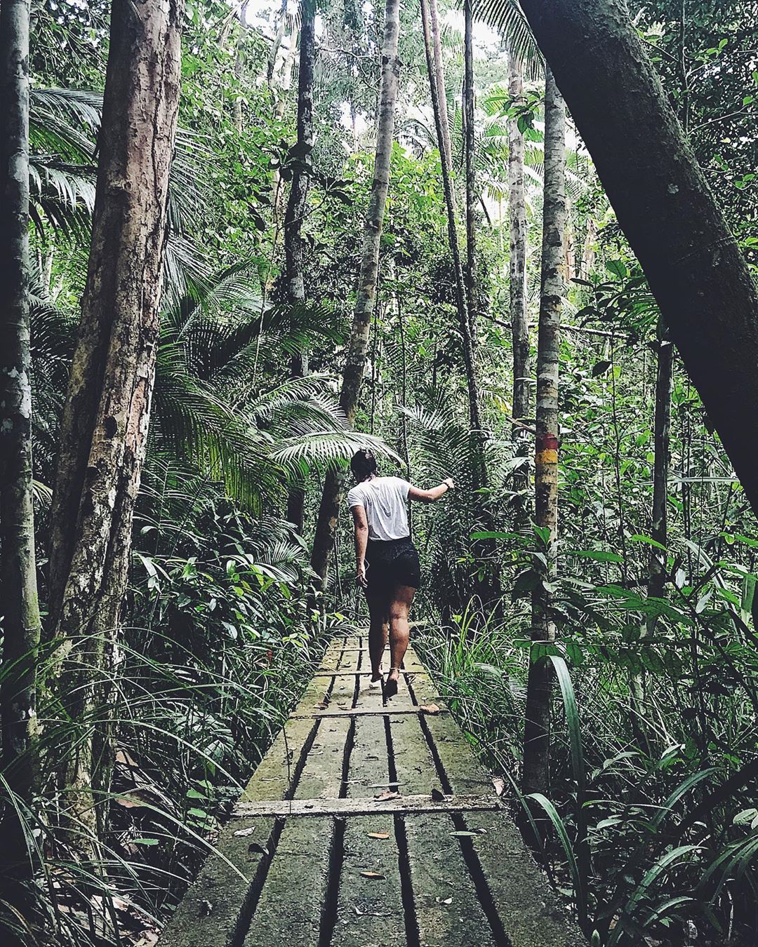 hiking trail malaysia 