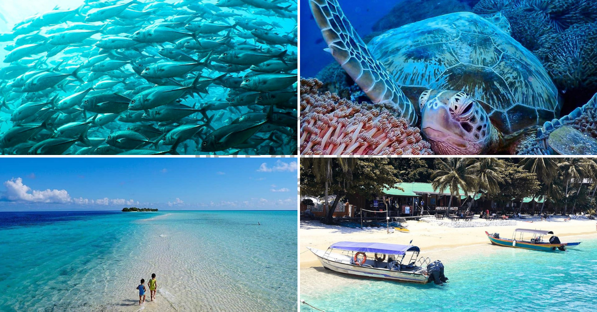 10 Most Beautiful Places For Snorkelling Diving With Pristine Beaches In Malaysia